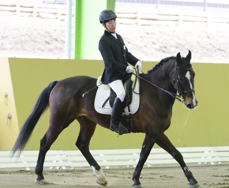 「東京大会をスタートとして、選手として活動の幅を広げたい」と語るパラ馬術の稲キャプション葉将選手(日本障がい者乗馬協会提供)