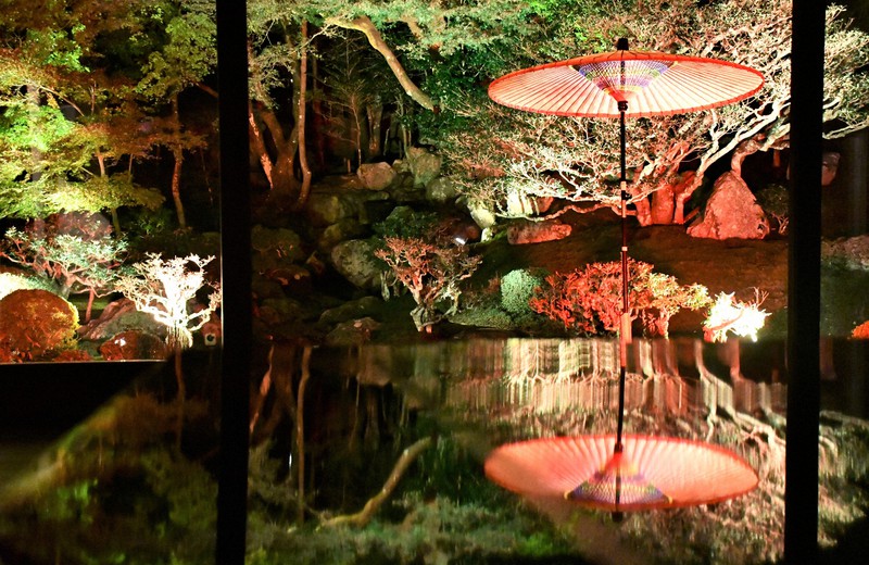 夜の紅葉「リフレクション」も映え 旧竹林院など5カ所でライトアップ