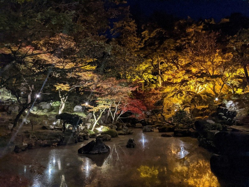 ライトアップで鮮やかに 高崎 徳明園 紅葉見ごろ 群馬 毎日新聞