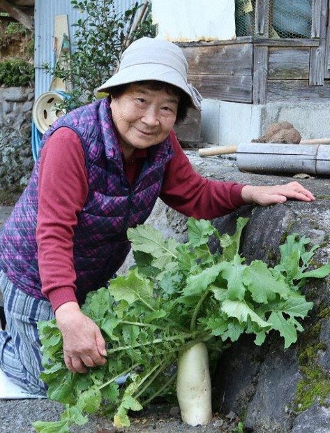 中元さんと「ど根性大根」=大分県日田市で