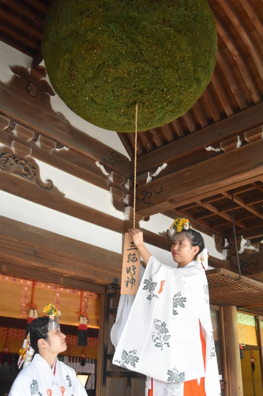 新しい大杉玉に札を付ける巫女=桜井市の大神神社で2020年11月13日午前9時25分、広瀬晃子撮影