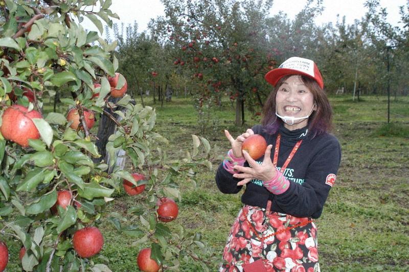 笑顔でリンゴの手入れを行う志藤一枝さん=山形県朝日町で2010年11月9日、浜名晋一