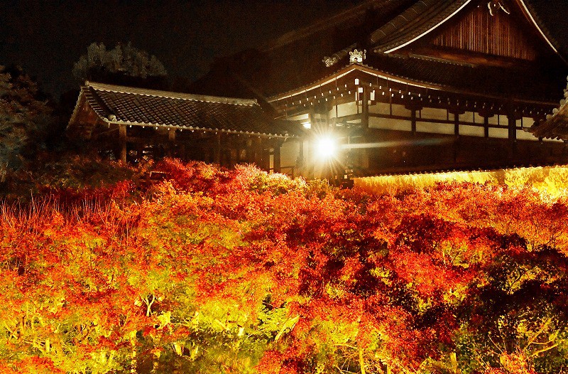 暗闇に浮かぶ2000本の紅葉 特別な夜にうっとり 京都・東福寺で初の一般