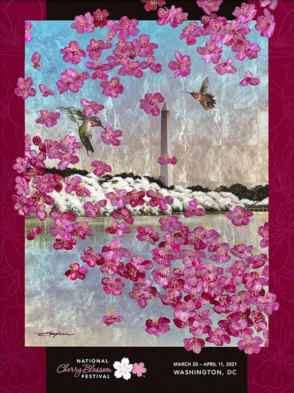 ワシントンの桜祭り 来春もパレード中止 主要スポンサーはanaからアマゾンに 毎日新聞