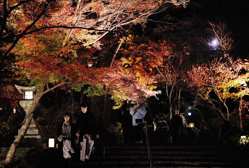 赤く染まる 聖地 竈門神社で紅葉ライトアップ 福岡 太宰府 写真特集3 9 毎日新聞