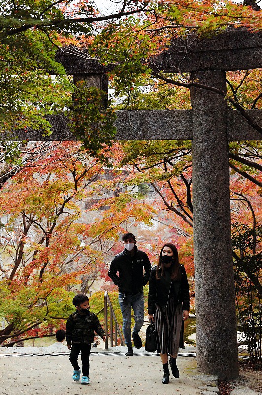 赤く染まる 聖地 竈門神社で紅葉ライトアップ 福岡 太宰府 写真特集7 9 毎日新聞
