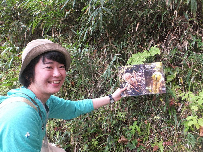 シダ植物「ゼンマイ」の写真を片手に説明する木下茉実さん=吉野町で2020年11月16日午前11時6分、田中なつみ