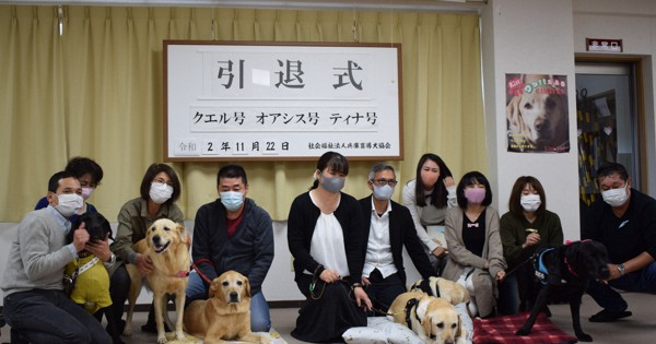 å…µåº«ç›²å°ŽçŠ¬å
