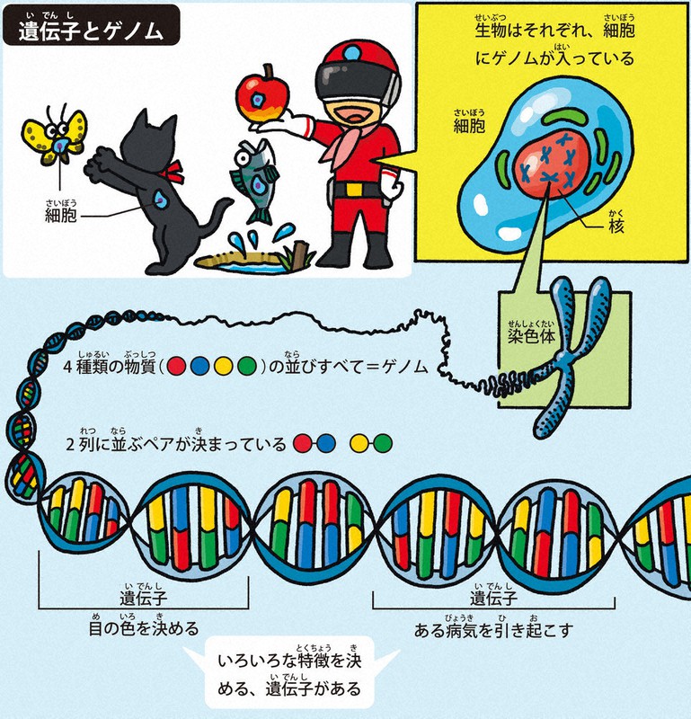 毎日新聞