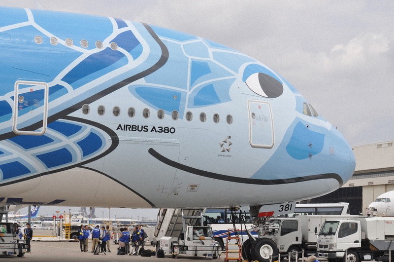 成田出発便の初日の出フライトで運航するウミガメを描いたエアバスA380=成田空港で2019年4月23日午前10時24分、中村宰和撮影