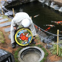 ニシキゴイ発祥の地に「コイキング」 新潟・小千谷で「ポケふた