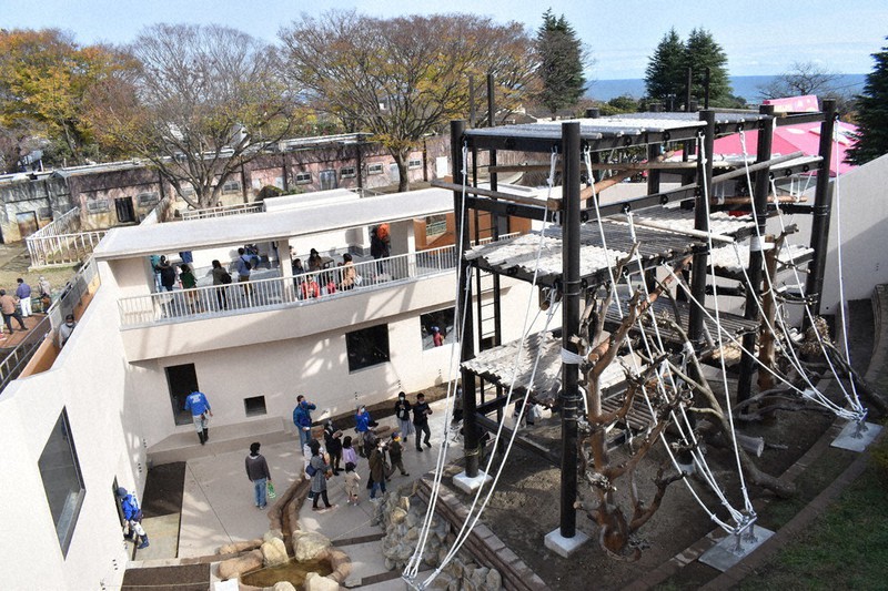 放飼場内に建てられた高さ7メートルのタワー遊具。獣舎の1階がサルの寝室になっている=茨城県日立市かみね動物園で