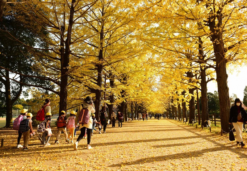 生きるのがつらいあなたへ 一人で鬱々は良くない 生身の専門家を頼るのがいい タレント高木美保さん 毎日新聞