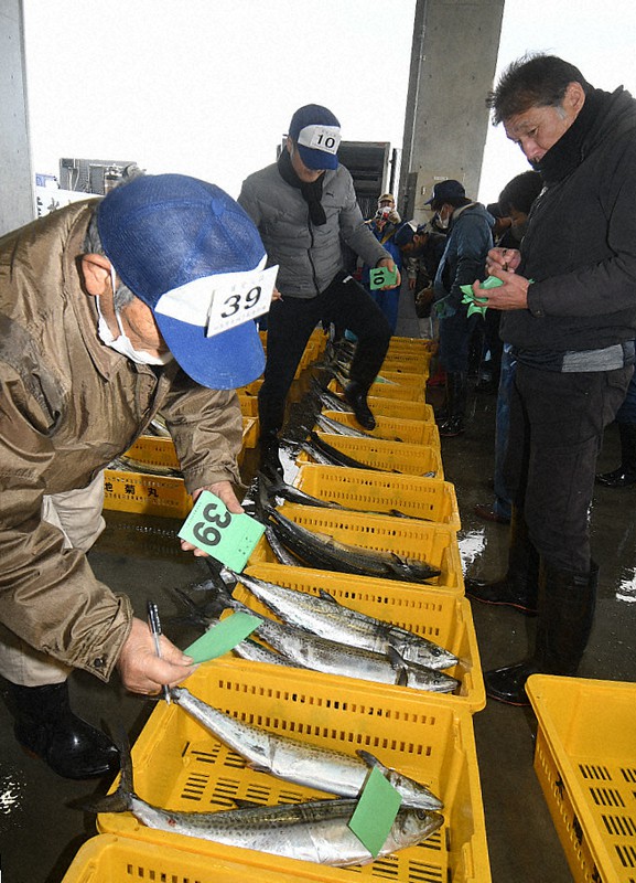 水揚げに値段を付け入札する仲買業者ら=福島県新地町の釣師浜漁港・新地市場で2020年12月4日、高橋秀郎撮影