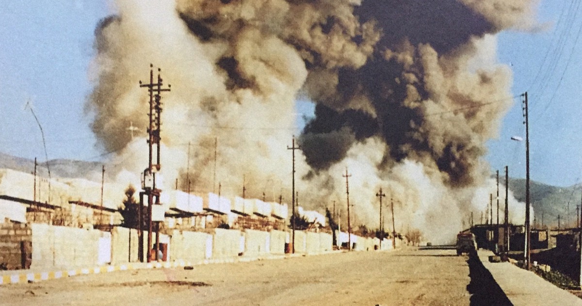 1980年代 イラン軍/イラク軍野戦パルカ 号 実物中古 OG サイズ46 この激レア軍用カメラ、ちょっと触ってもいいですか？ スウェーデン