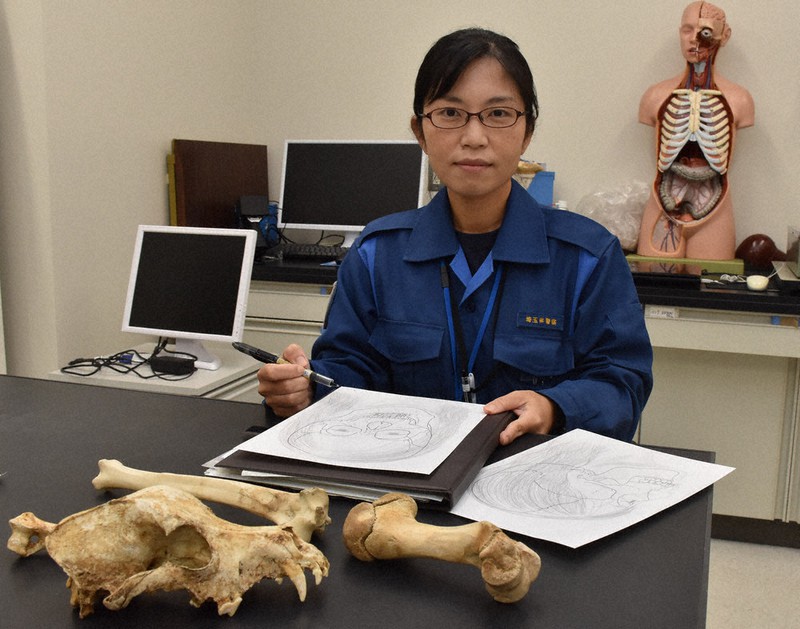 真相に迫る 科捜研の女性たち 上 復顔法 佐伯好美さん ４０ 白骨遺体から表情描く 埼玉 毎日新聞