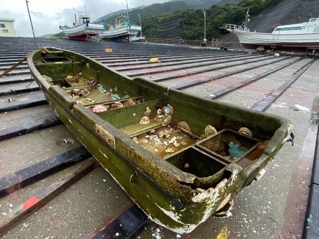 気仙沼から八丈島まで9年9カ月 東日本大震災で流失の漁船、熱帯の海