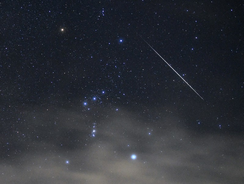 6さいからのニュース：ながれぼし見ごろ | 毎日新聞