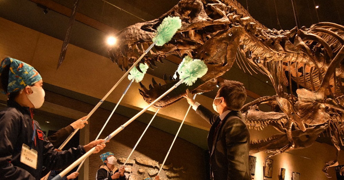 2020歳末点描:恐竜標本のすす払い いのちのたび博物館 /福岡