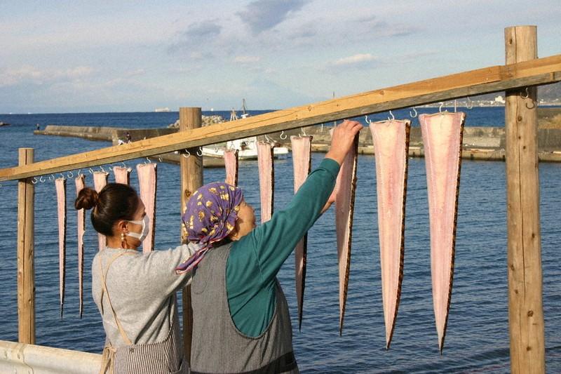 海のギャング がナマダの開きに 脂乗り濃厚な味 千葉 館山 毎日新聞