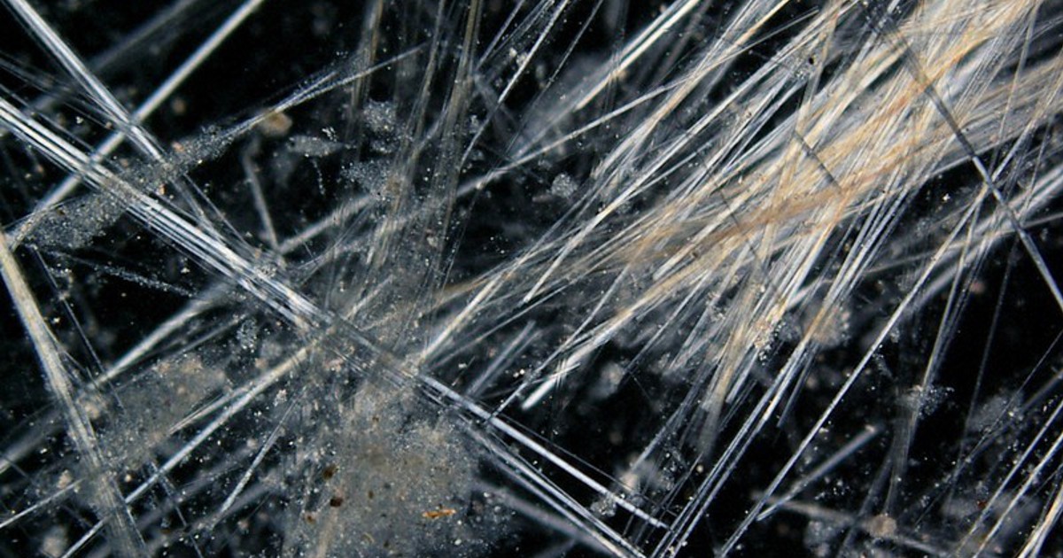 Hiroshima store operator recalls 1,200 bath mats over asbestos The