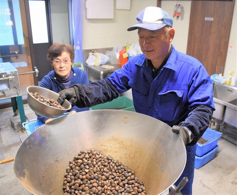 ツバキの実を砕く作業に当たる石川さん夫婦=岩手県陸前高田市竹駒町で2020年12月3日、三瓶杜萌撮影
