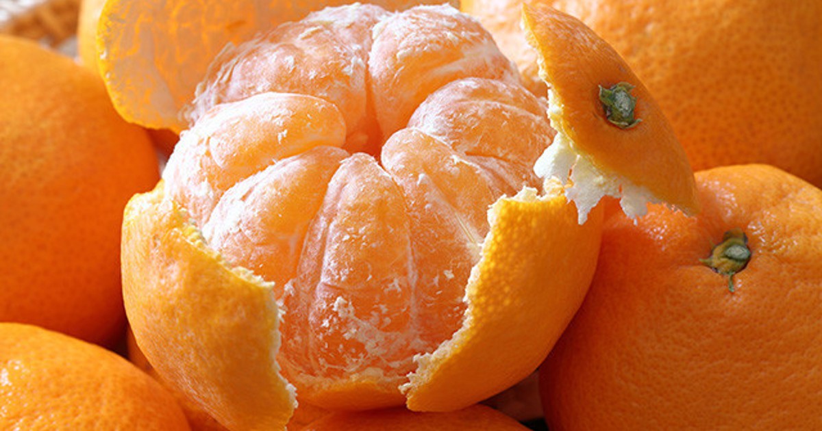 クックパッドニュース 食べやすい 皮を剥くだけで みかん の白い筋が取れる裏ワザ 毎日新聞