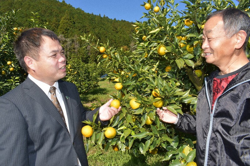 和歌山のナンバーワン じゃばら 北山村 花粉症に効果 で飛躍 和歌山 毎日新聞