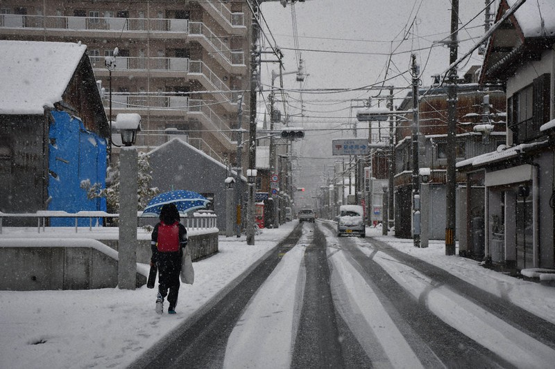 幡多路が銀世界 四万十市街地 積雪１０センチ 県内１５地点で今季最低気温 高知 毎日新聞