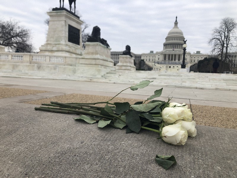 gv̒eNٔƔƂߌcā@ĉ@}@11ɂo  [Ђ悱]->摜>2 