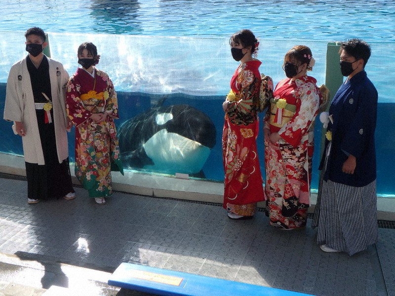 ララ シャチ 多かれ 新成人が祝福 千葉 鴨川シーワールド 東京 毎日新聞