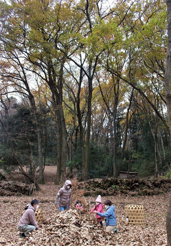 雑木林の落ち葉で遊ぶ親子ら=埼玉県入間市のさいたま緑の森博物館で、尾崎修二撮影