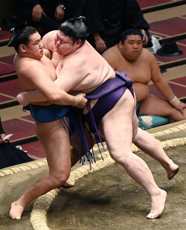 豊昇龍(左)を寄り切りで破る明瀬山=大西岳彦撮影