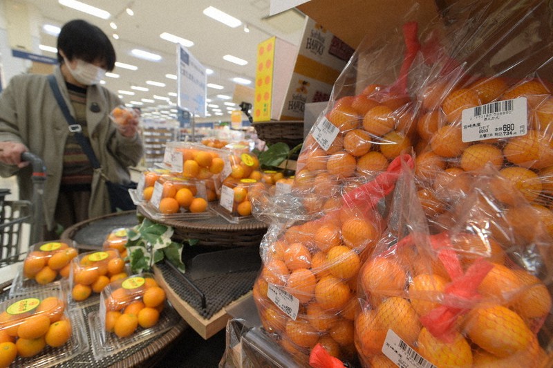 販売が解禁され、売り場に並ぶ県特産のキンカン