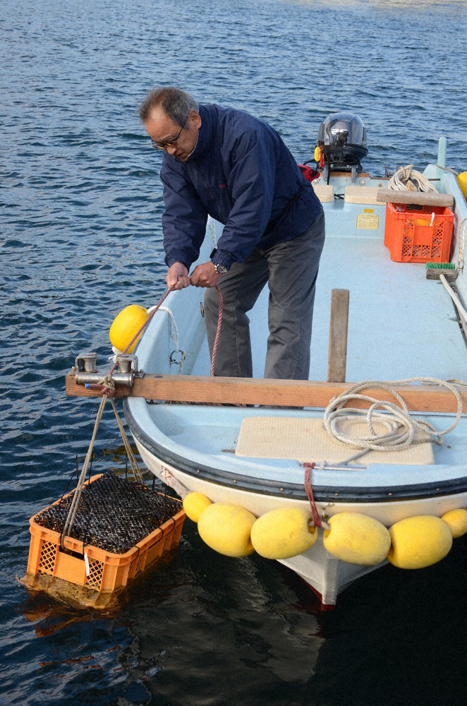 ボトルワインを詰めたケースを海に沈める出口浩さん=神奈川県三浦市の小網代湾で2020年12月、岩崎信道撮影