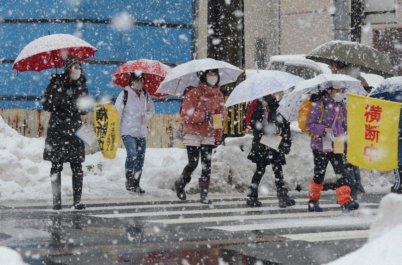 雪の降る中を通学する小学生ら=福井市で、岩間理紀撮影