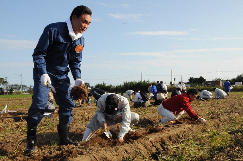 サツマイモ貯蔵庫の完成式典後、松本幸英・楢葉町長(左)や永尾俊一・白ハト食品工業社長(手前右)ら出席者は畑に出て、イモ掘りを体験した=福島県楢葉町で2020年10月14日午後2時32分、竹内良和撮影
