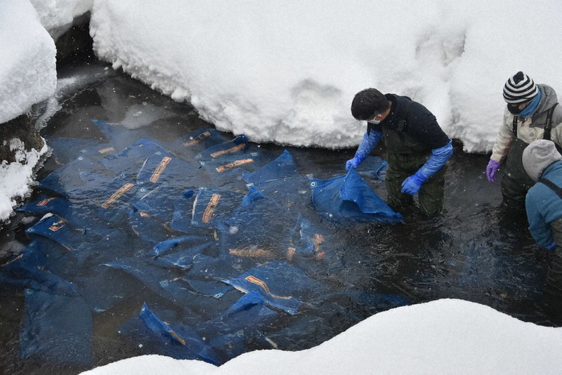袋に入れたそばの実を、沢の冷水に浸した=山形市で2021年1月20日午前8時半、藤村元大撮影