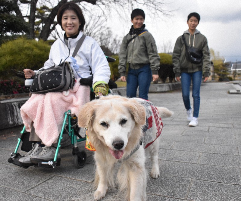 妻鳥さん一家と散歩を楽しむ「クリーム」=松山市で、遠藤龍撮影