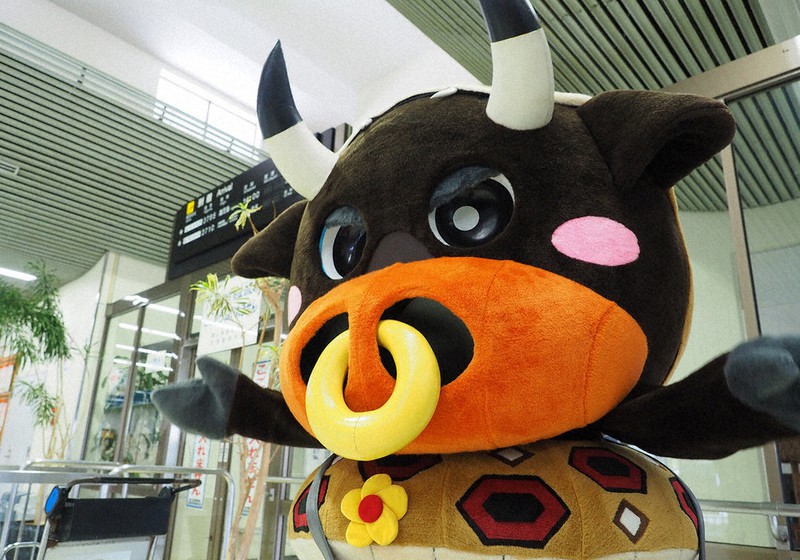 ゆるキャラらんど まぶーる君 鹿児島県徳之島町 毎日新聞