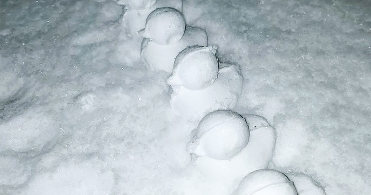 ワールドウオッチ 韓国 大寒波で アヒル が人気者に 趙章恩 週刊エコノミスト Online