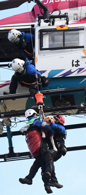 訓練でヘリコプターに遭難者役と犬をつり上げる島根県防災航空隊員ら=松江市乃木福富町の県消防学校で2021年1月21日午前11時24分、目野創撮影