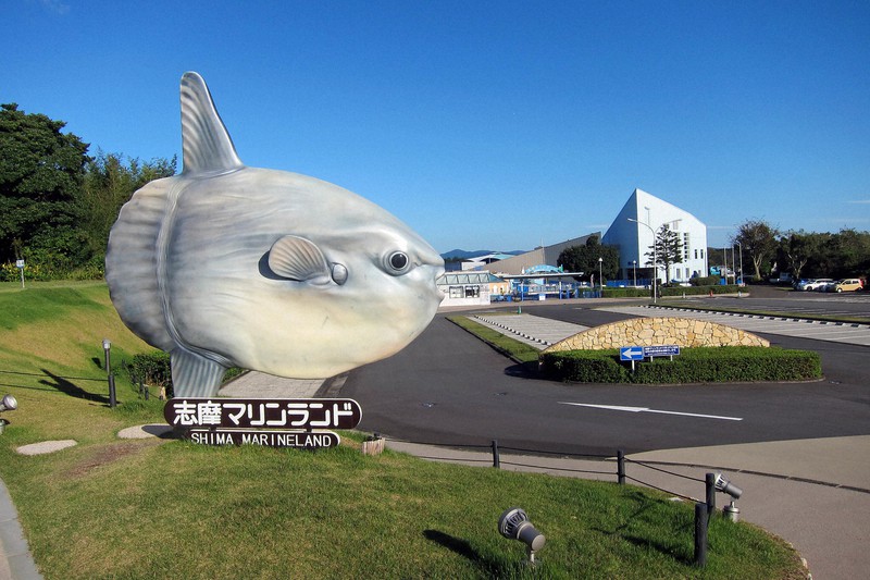 マンボウの泳ぐ水族館」 志摩マリンランドが営業休止へ 設備の老朽化