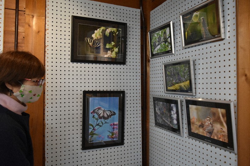 名張市周辺で撮影された鳥や昆虫、植物などの作品が並ぶ会場=名張市新町で2021年1月30日午前10時48分、行方一男撮影