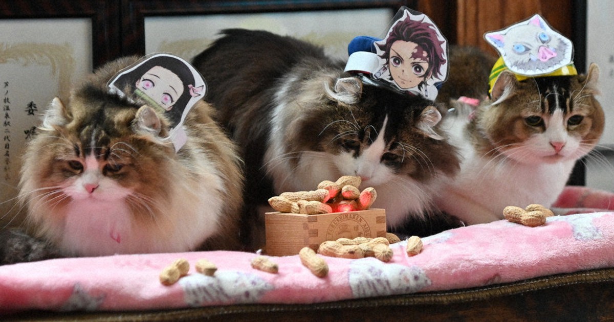 ごま 猫舎本舗 長月、霜月、睦月、如月 0c10.jpg?1