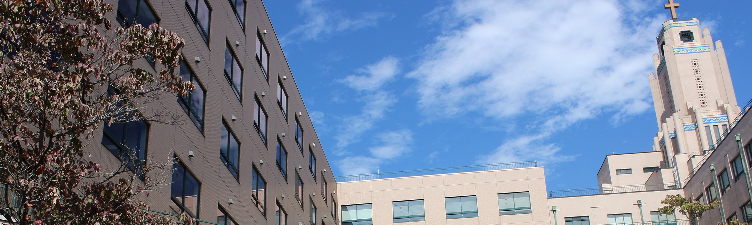 連載 大学倶楽部・聖路加国際大