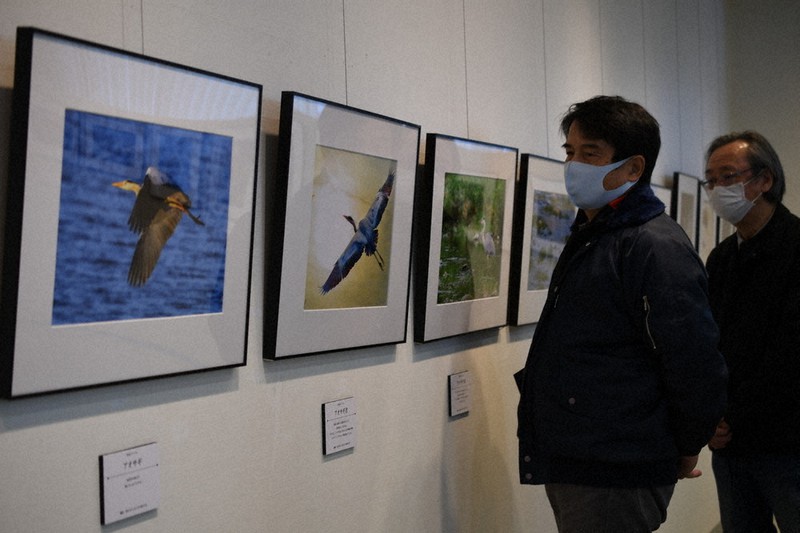 さまざまな野鳥の姿を収めた写真展=和歌山県海南市で、最上聡撮影