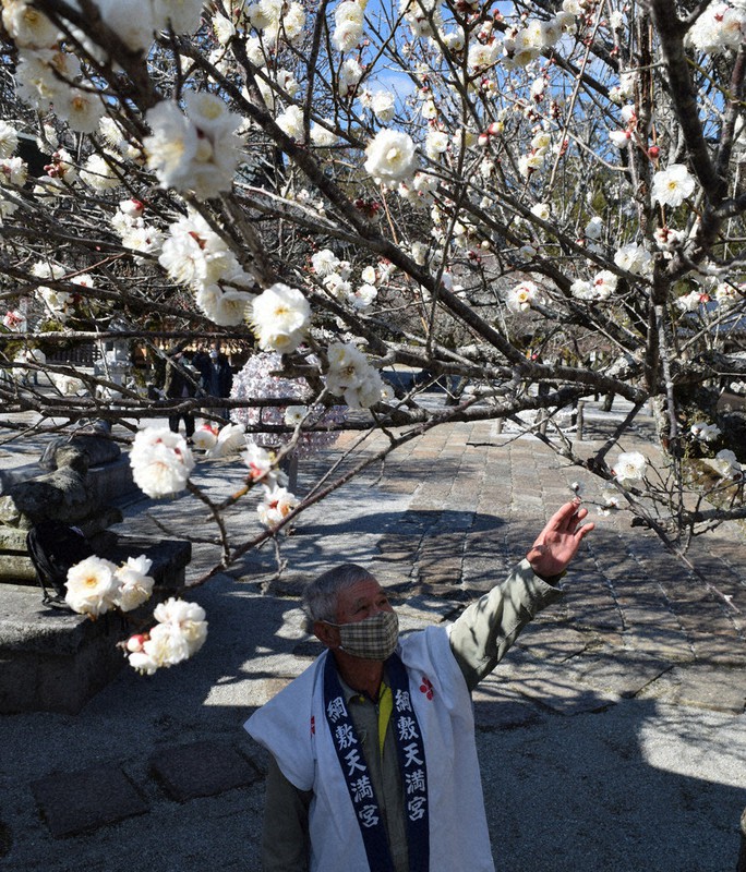 敷 天満宮 綱