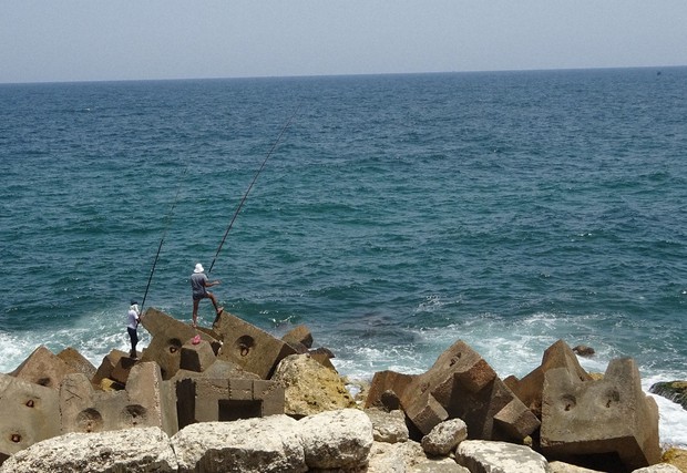 クレオパトラはどこに眠る 墓巡るミステリー 続く発掘 割れる見解 世界時空旅行 篠田航一 毎日新聞 政治プレミア