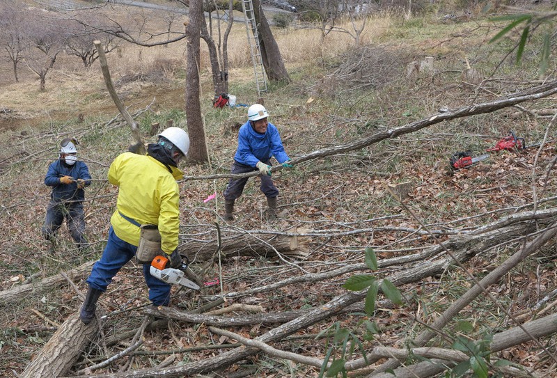 間伐した広葉樹を運び出す上野原市林業研究会のメンバー=山梨県上野原市で2021年1月18日午前9時54分、山本悟撮影